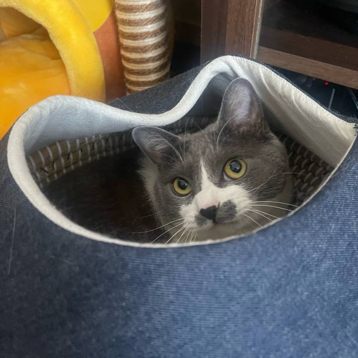 Afe38224 5078 44bc 8101 c3591a1bb2da 1716254422282