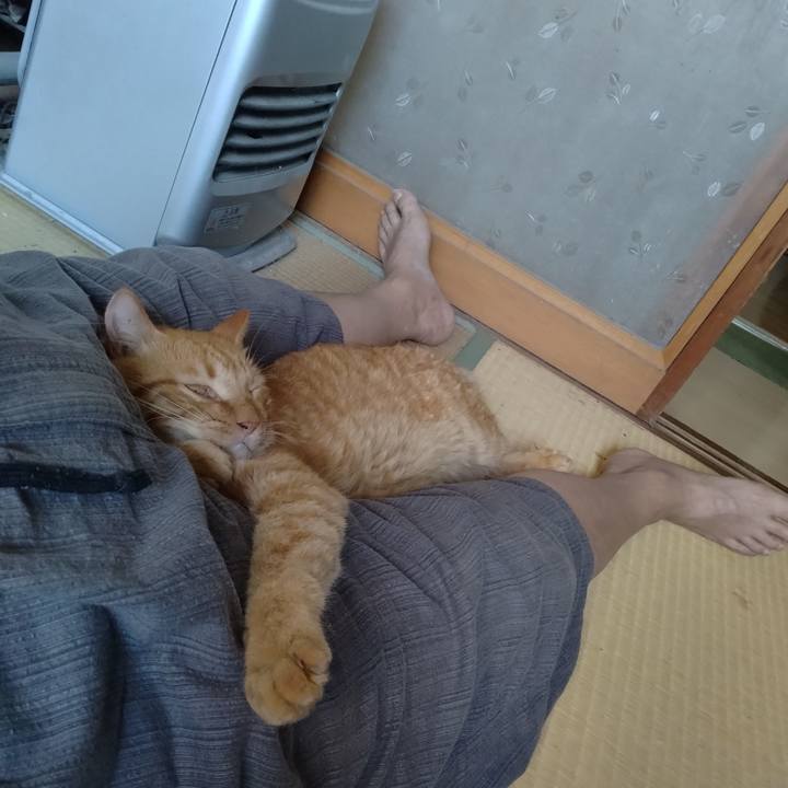 Afe3bb36 3075 46ad bddf 64acdcf6557a 1694926144163