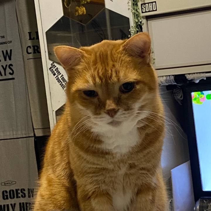 Afe3c36a ef9e 4e4c b215 77f3f2f6e2ec 1642602961053