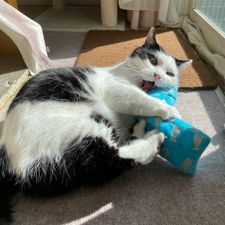 Afe3ceb8 b158 4393 a00f d2a04d0e7054 1771539466607