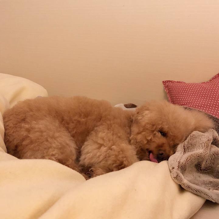 Afe470c6 f19c 477c 9418 fa67fbe4ba88 1525871719863