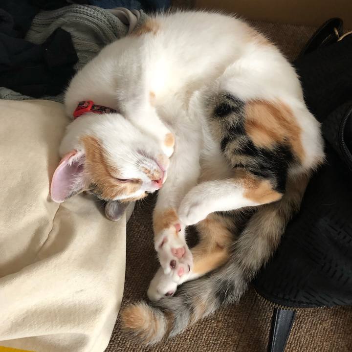 Afe4c16f 97a9 4141 bce7 d9ac6b4d8650 1569131061669