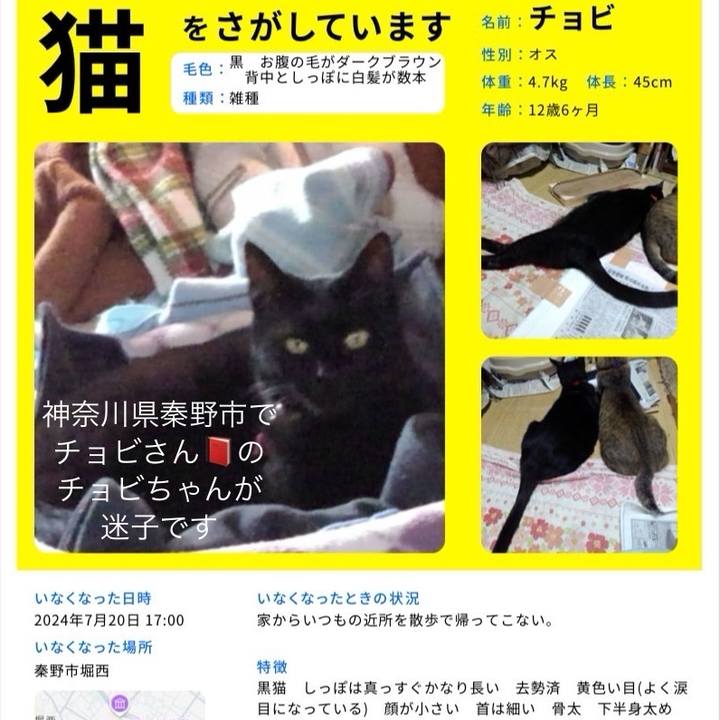 Afe4ead5 658c 4393 826e 0a2316906240 1729929988153