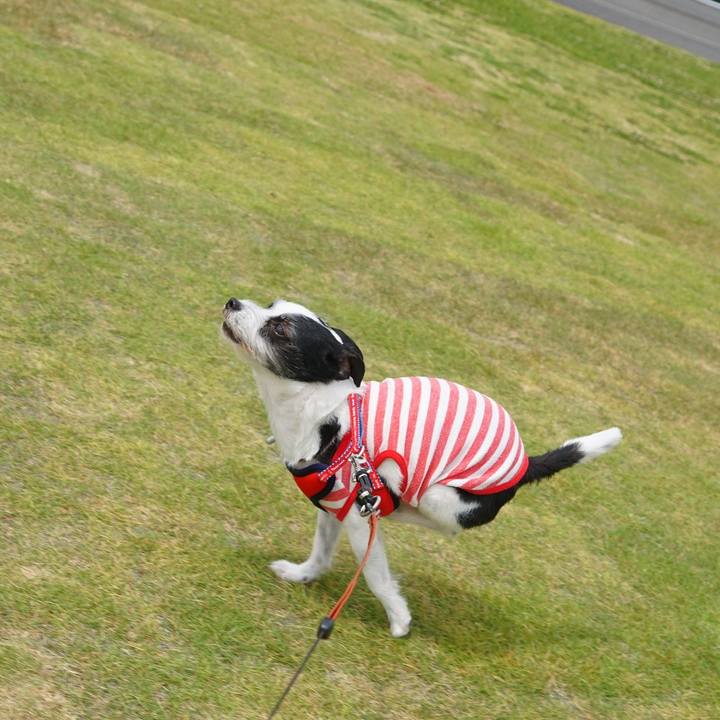 Afe4eed3 4ac9 4e9e b424 63d226b63484 1621256015241