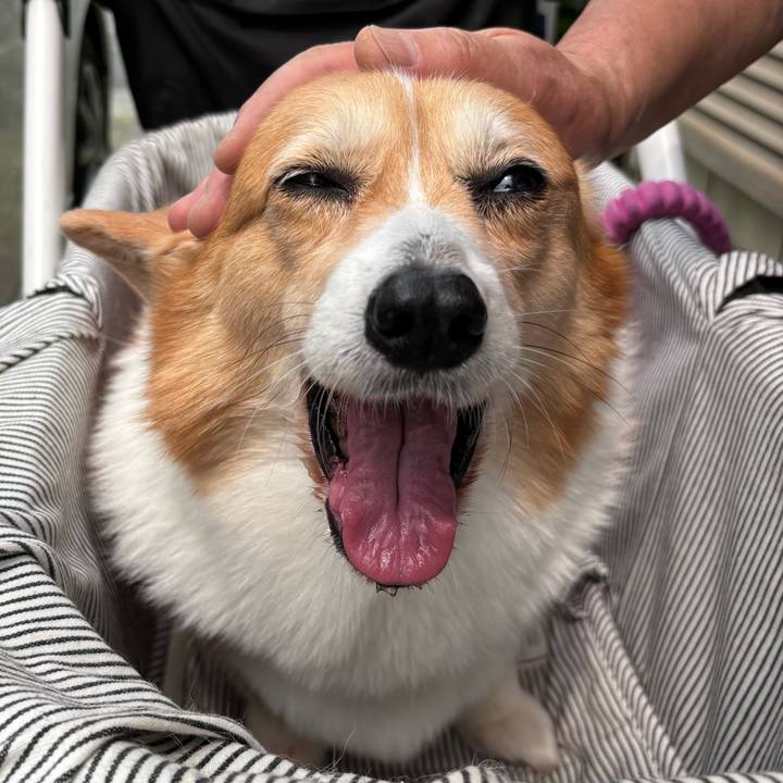 Afe4f6ac 8514 4d8e ab77 b8809eb18506 1747187440993