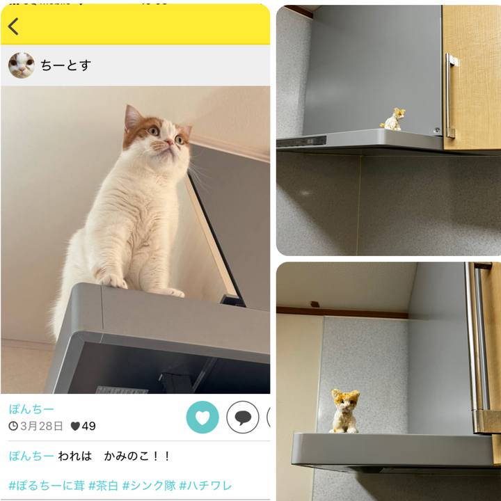 Afe50e69 4c70 4331 b4e7 8bed1dde6bf5 1774949555231