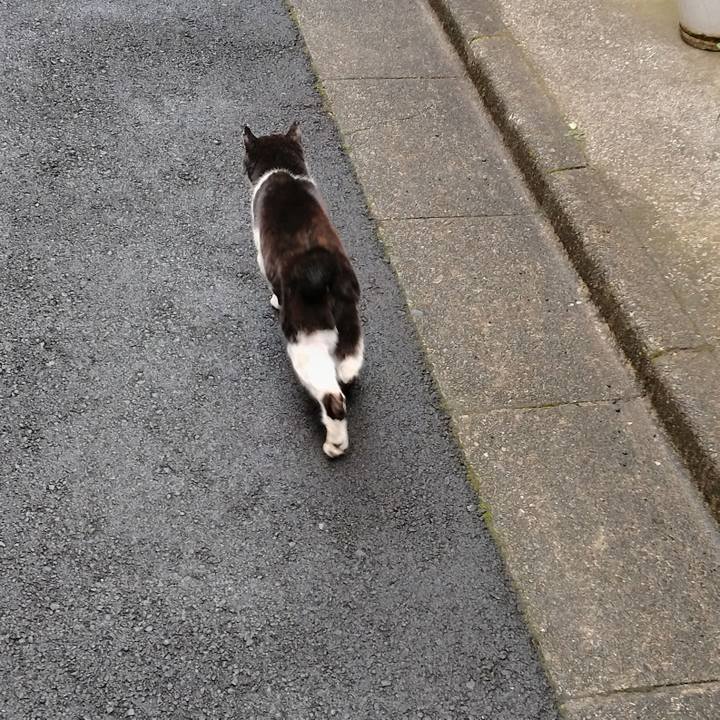 Afe52292 c380 49a7 a255 425cc815db6b 1711179605042