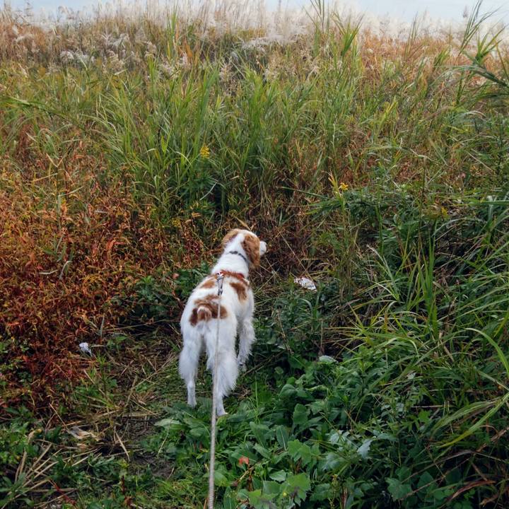 Afe58501 9e98 4aa5 92fb 0a107b46ea4b 1541987068707