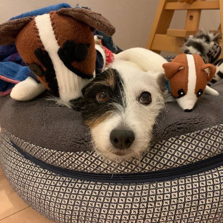 Afe5ad4c 5230 48f9 bd65 fef01b79f8fd 1668600443751