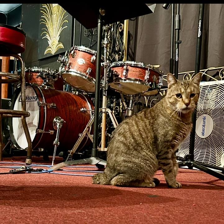 Afe5b3c7 379a 4ffc 97cb 6eb5129e4e4c 1761141055807