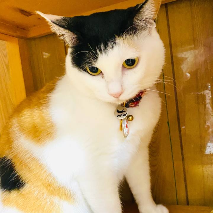 Afe5be78 fc93 44be 8b7e edfde14cf7fe 1717543718618