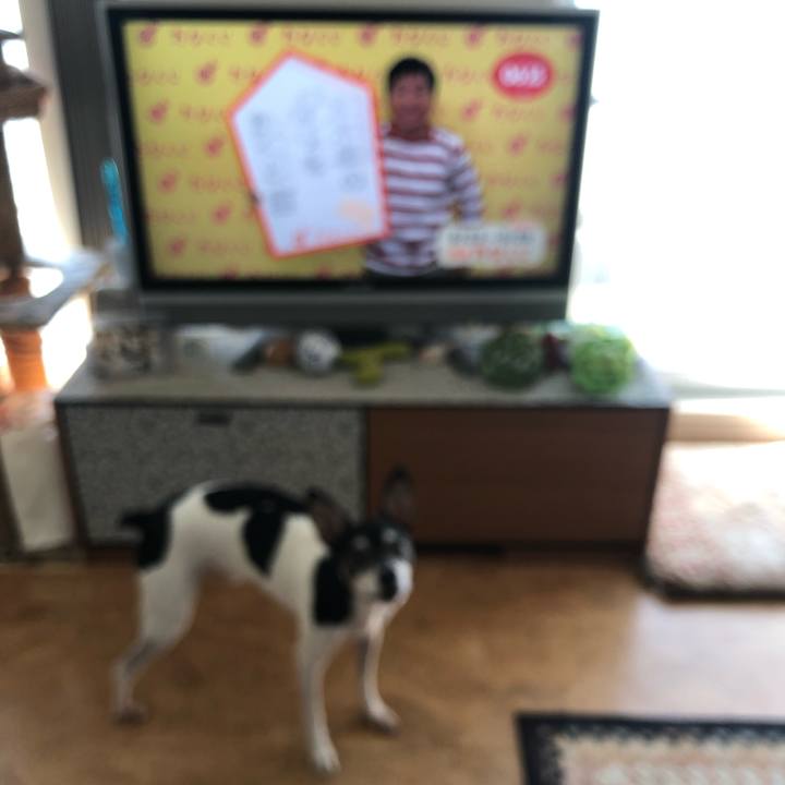 Afe64ad8 db75 4001 bfe4 c294d38efcce 1569198096884