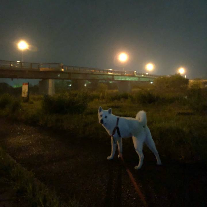 Afe69d58 a19b 4944 9e7b fbb7131d12cf 1525184776326