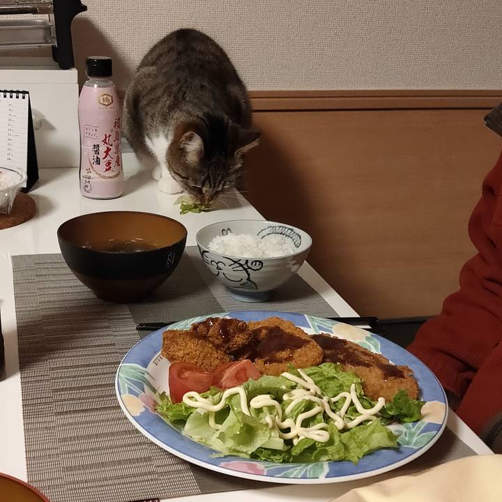 Afe73fd2 22aa 4b00 8a24 117ccea2e4db 1676973629969