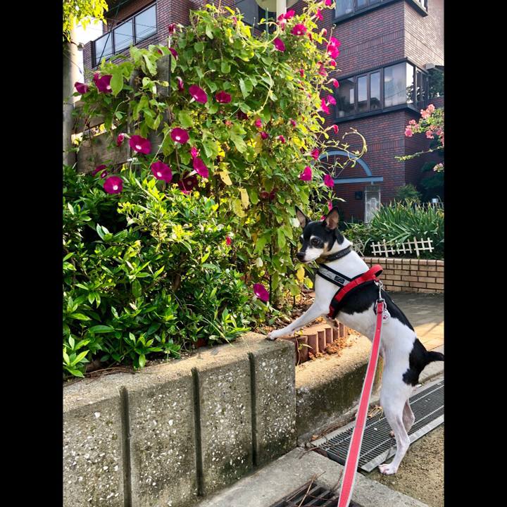 Afe74372 eab4 4ee1 8595 f85389229316 1567231510125