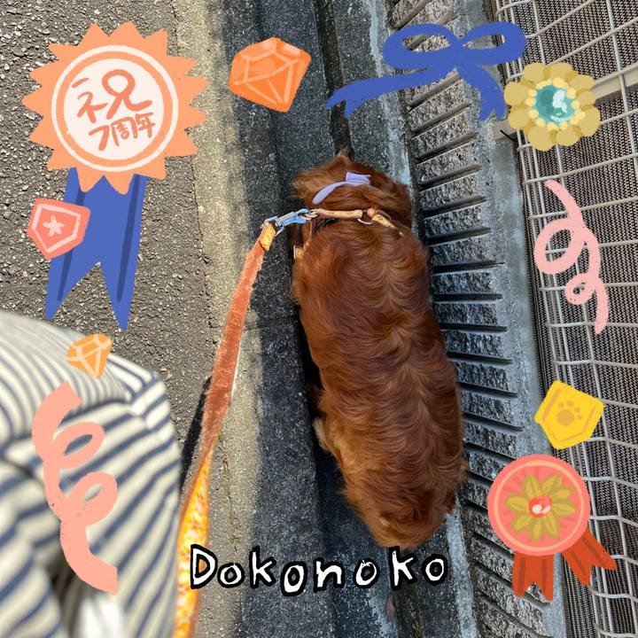 Afe76937 2c9e 4cf1 b7d6 214daa5a7475 1685973494046