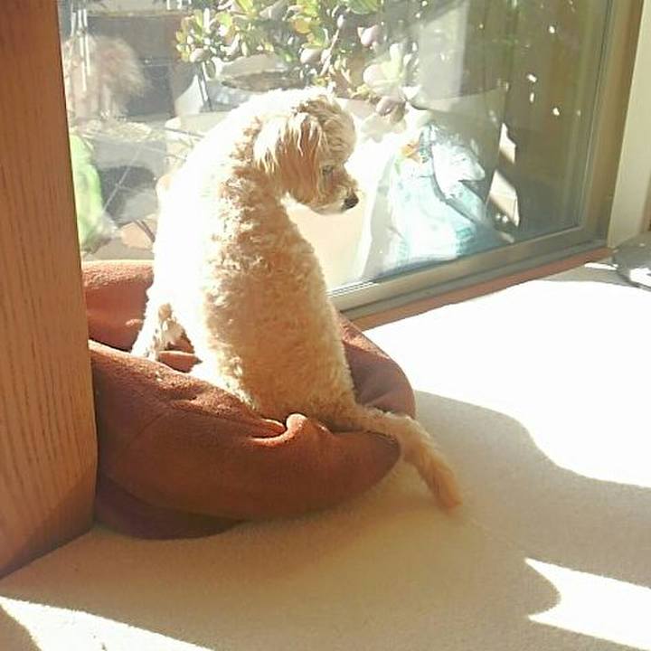 Afe7763d 1261 46a8 a294 c5665509cdce 1546675271888