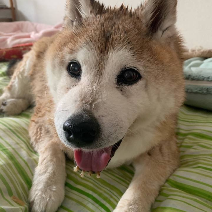 Afe7767d 3b17 40a3 893e 3f8eff567ca7 1652583788720