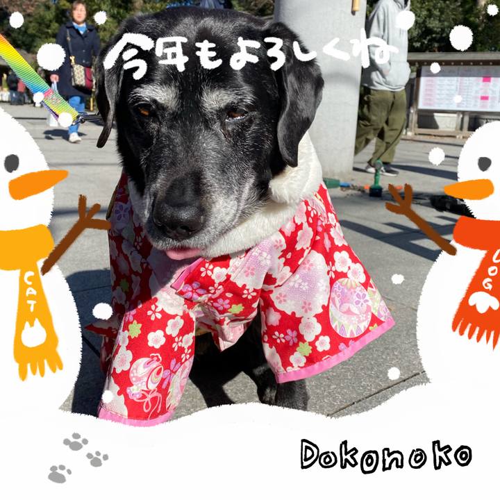 Afe77ee5 aa7c 4171 8dfa c11227bdf259 1704342458811