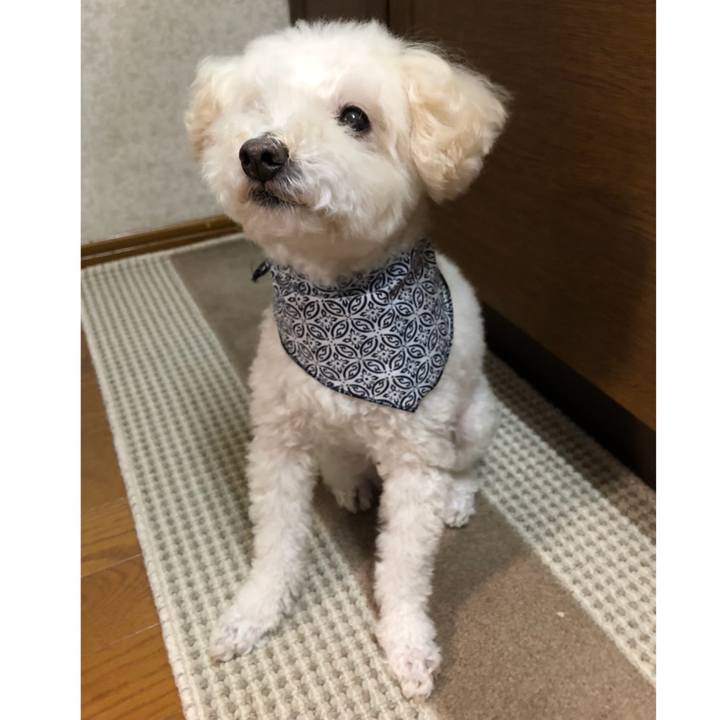 Afe7e560 737c 4875 9565 f32fec750dd2 1539764900729