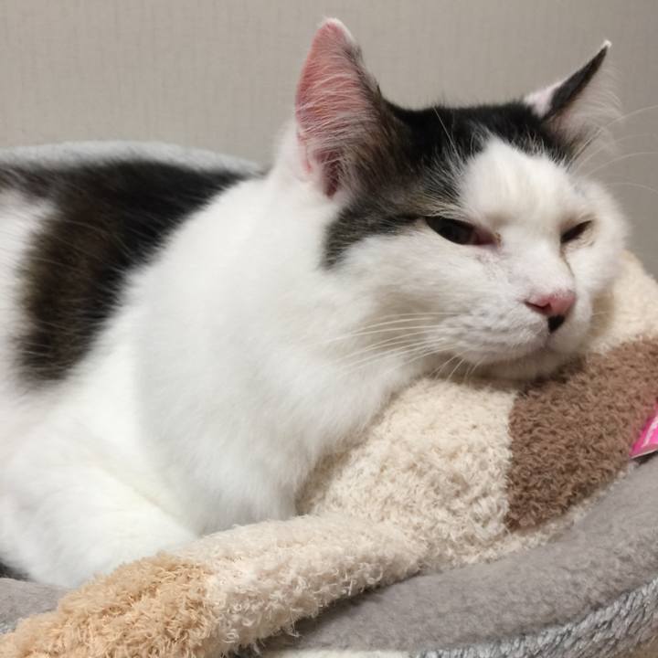 Afe82078 076b 454d a79b e37f01690112 1539957770517