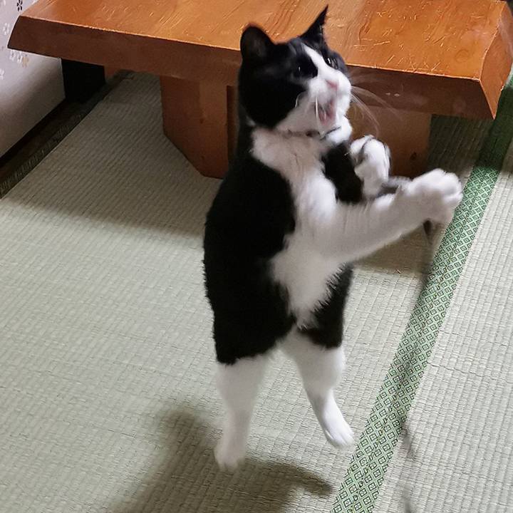 Afe85464 b78b 40f6 a76a 3db04a15a630 1654142843772