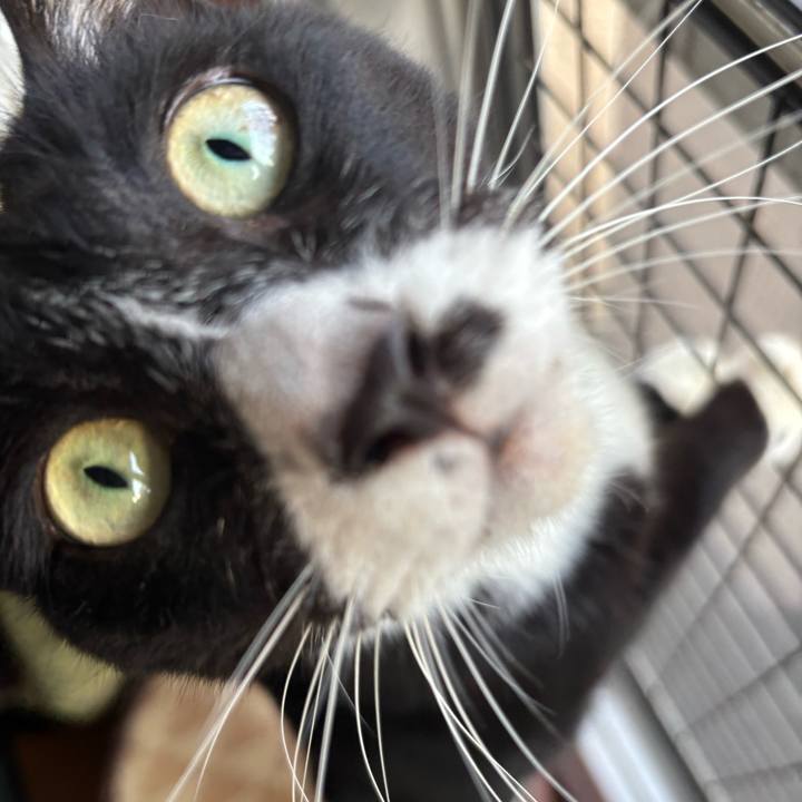 Afe893f2 680a 4676 88b8 1fb9c25d633b 1758876811774