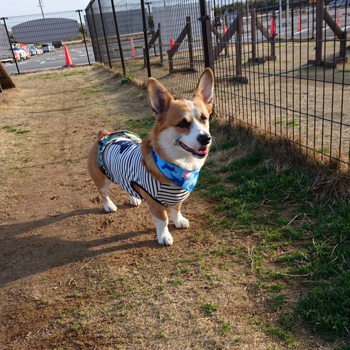 Afe8ad4d 472c 4baf b32d 0fd336848f93 1582434847430