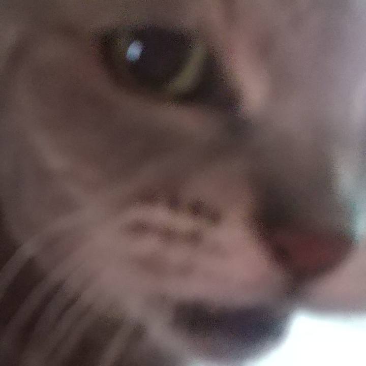 Afe8c507 8d0c 4e6e 9597 cd425bc2399c 1674355948653