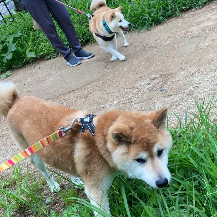 Afe8c82d e58d 40c0 923e 407df6a46f3f 1595325285782