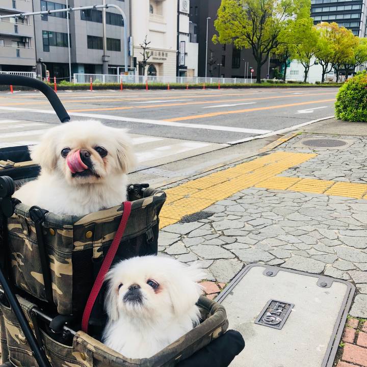 Afe8e1e4 5927 4719 b3f9 710a0de52799 1587249735224