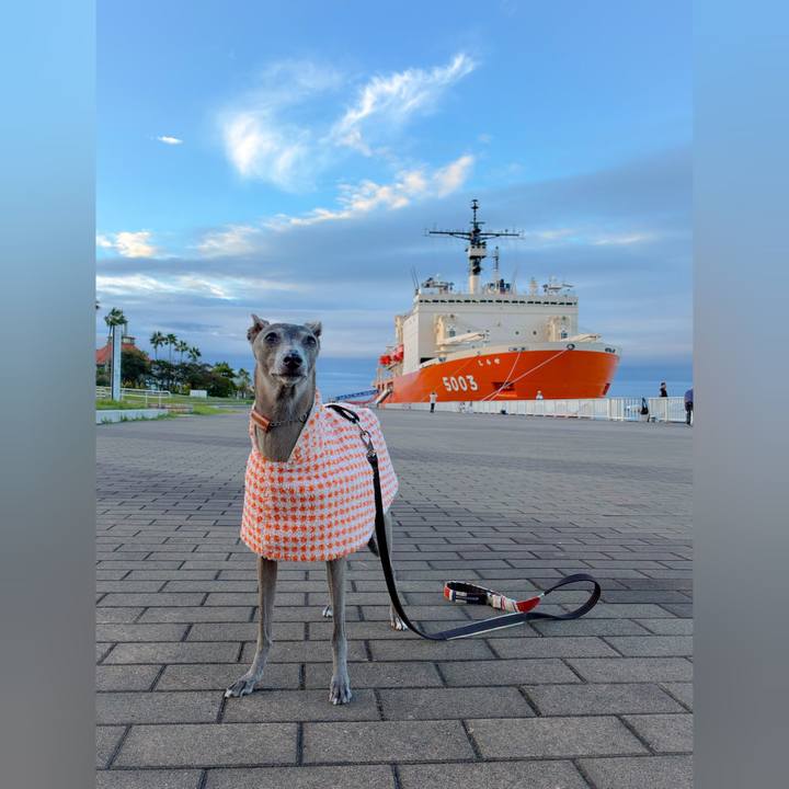 Afe8f60a 51bf 405a 960b d7cd57b98861 1760141851602