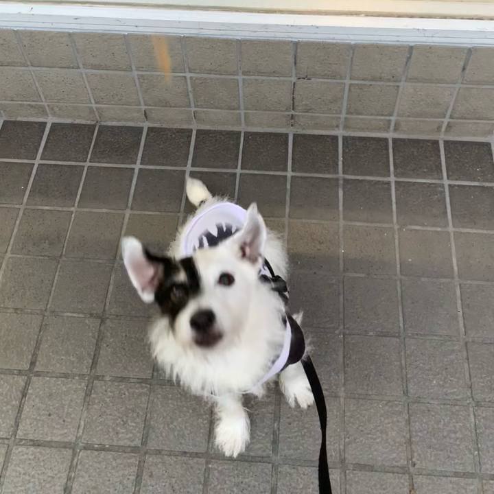 Afe8f820 5acb 4dcf be46 77b932774864 1730447763980