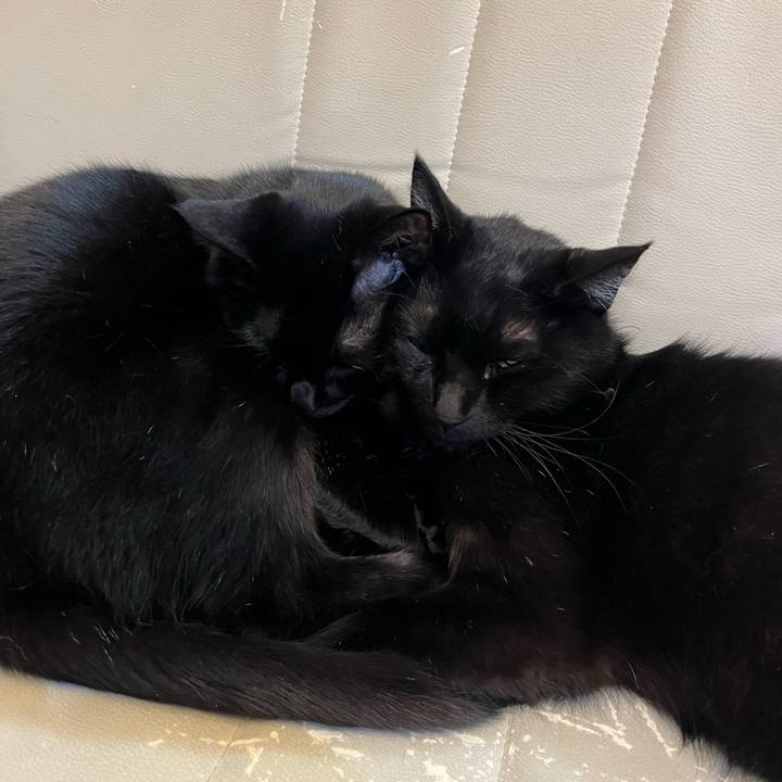 Afe8fe59 e877 4e30 a566 b5ad90e6f762 1682393850769