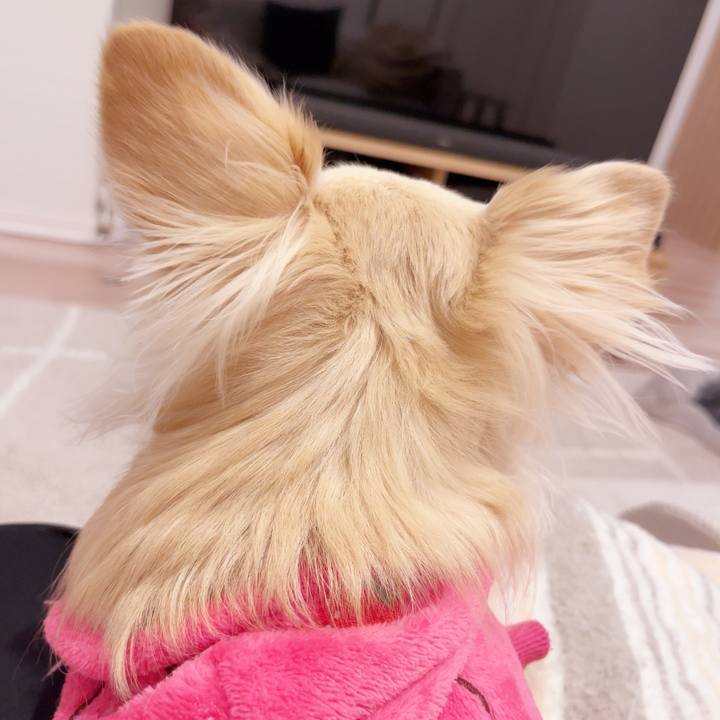 Afe91331 967a 4f19 ac45 b7e67c1d3f13 1740572513798