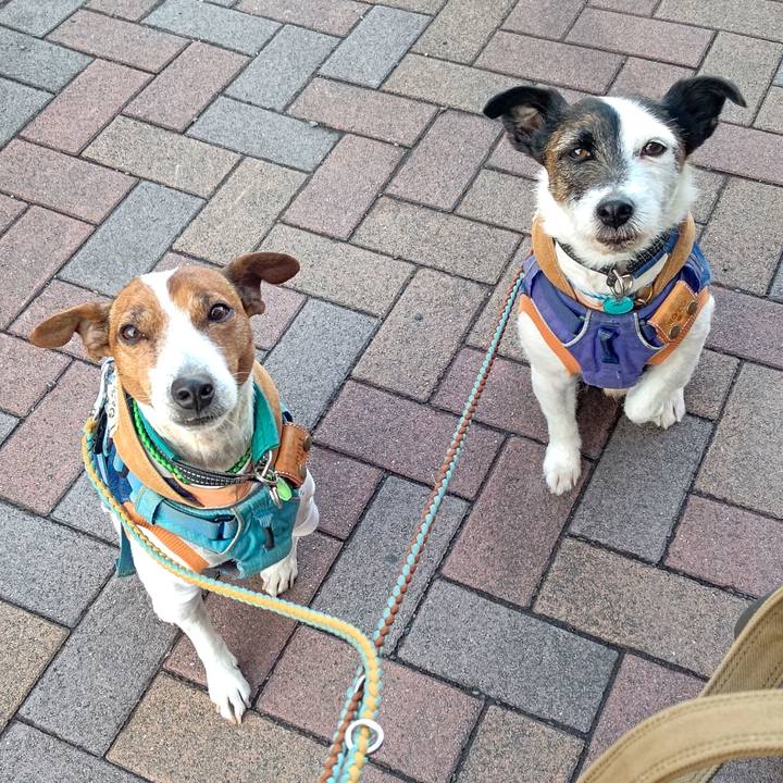 Afe91986 0386 4765 af3e 88751134c89b 1707525462790