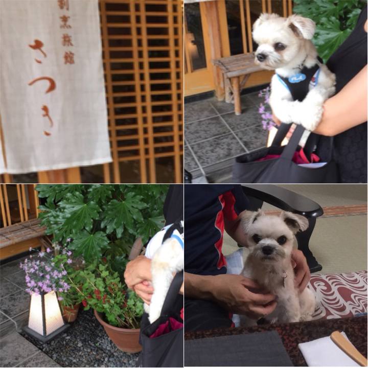 Afe9260f 9a9e 4cef a9f3 ac98f99cb76d 1530400274517