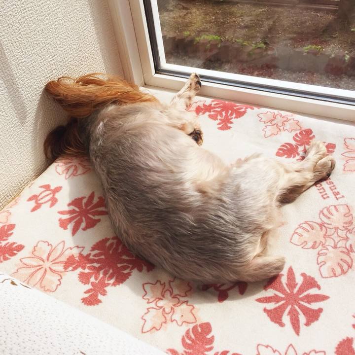 Afe92622 0521 46ce bdaa 14b71da5bcdb 1535942340090