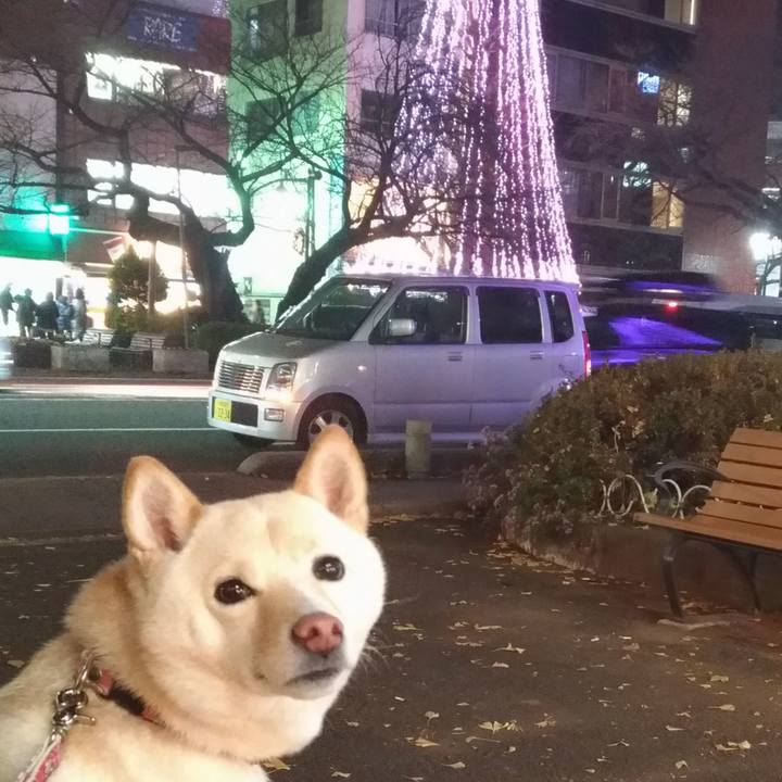 Afe9360d 2ac7 43eb b33d 780d480b3c04 1576320419637