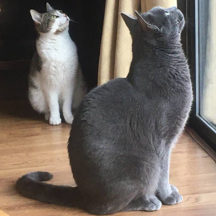 Afe95267 ee08 479f 9cf3 12f4823bd449 1618176883279