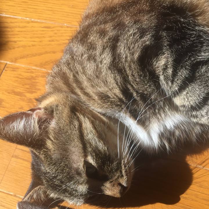 Afe9706f 9770 41ce bc3a 1634da9b9603 1571795174011