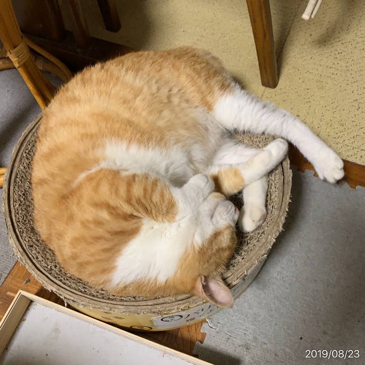 Afe9af1b 6b48 4445 9bdb fd6b9134124e 1566561051486