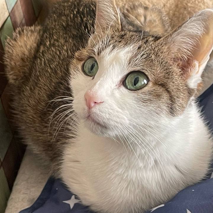 Afe9efd9 f6dd 4dda b1a9 3dd75d29f243 1711465059595