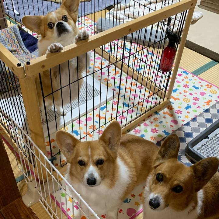 Afeaaea0 8d5a 43b0 b762 02b26ffbc064 1639650419992