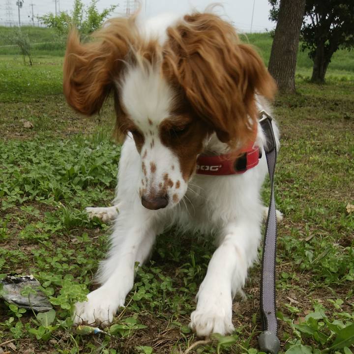 Afeabe19 8df6 4079 8e28 7be9a07f5273 1526643258822