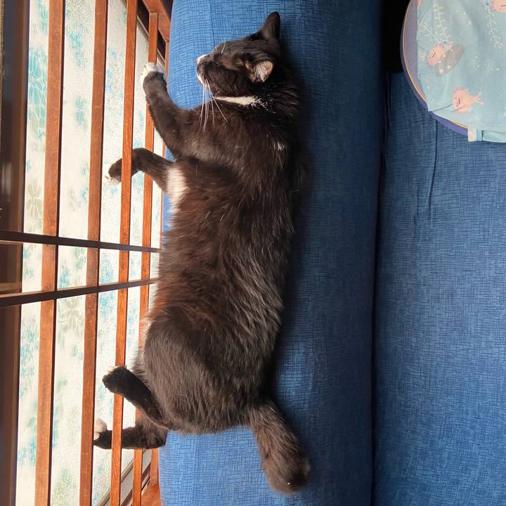 Afeac623 1061 4674 9851 9c2c39a645aa 1690341591356