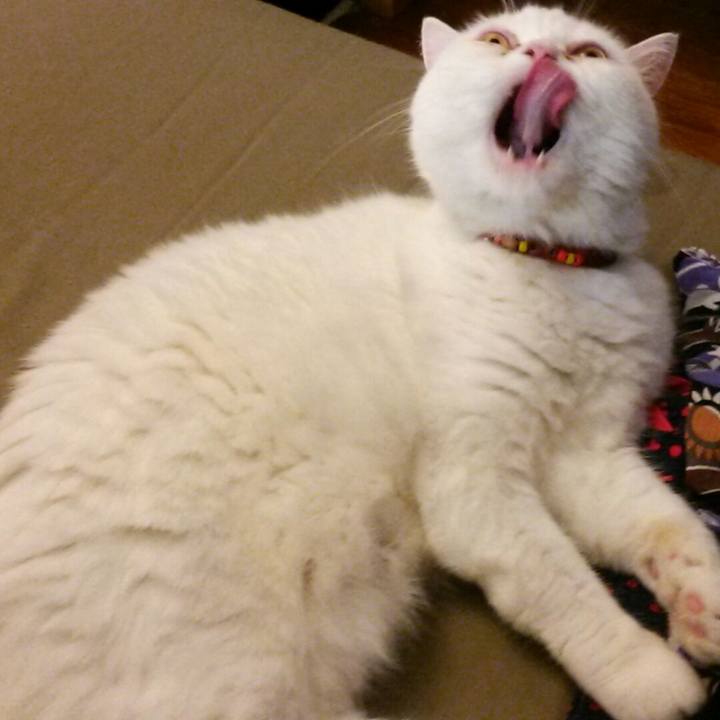 Afead9f5 cf1a 4302 907f 0bf8899f7d0e 1534579790935