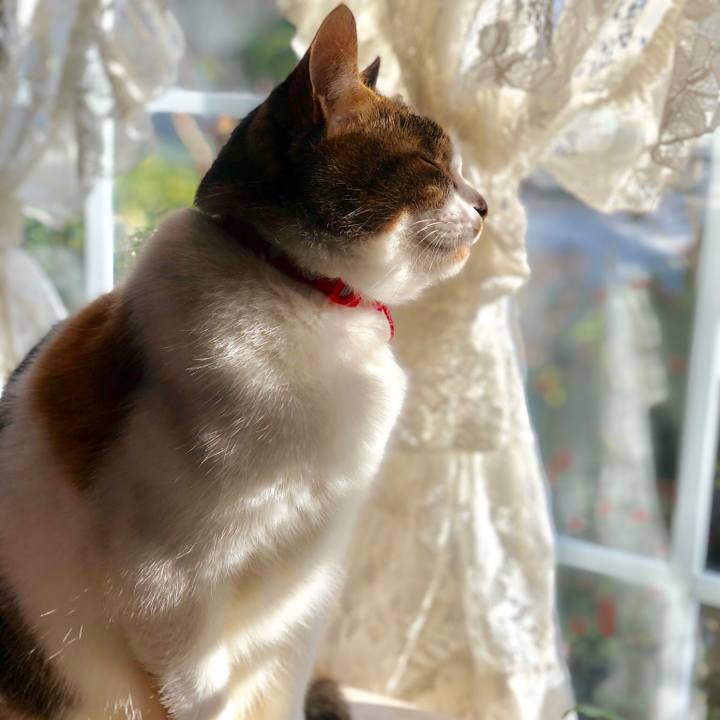 Afeae60e c30f 47d6 b49e 744741ffbad0 1544846915857