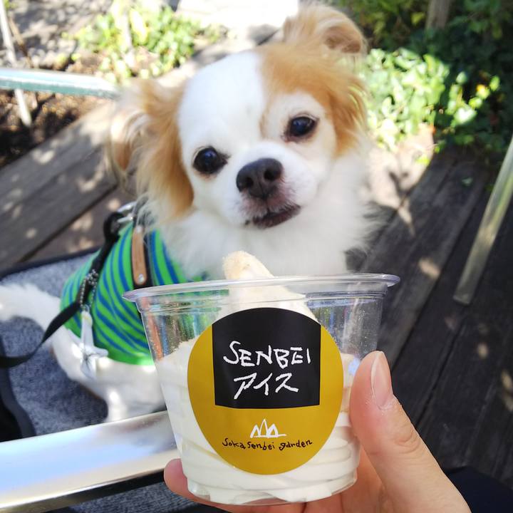 Afeaeda6 5916 46cb 91e1 64820bcc18fc 1540098307072