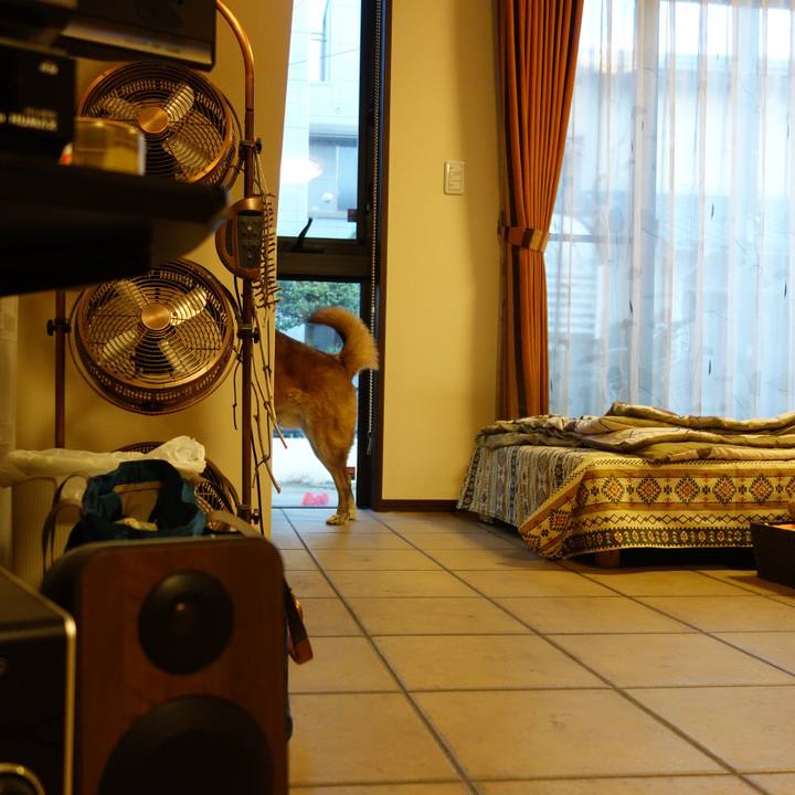 Afeaf440 3441 456a b0b5 439e312b5ed9 1554462919139